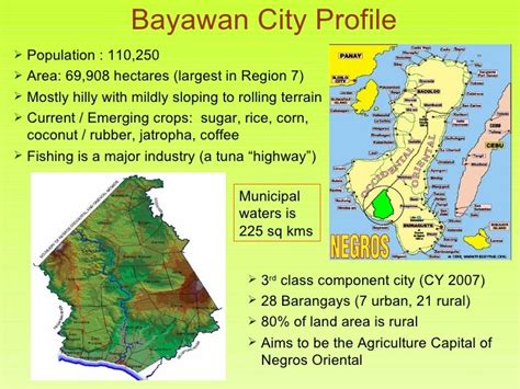 list of barangays in bayawan city